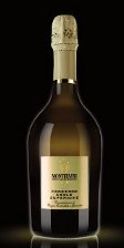 MONTELVINI PRESENTA LA NUOVA DOCG: ASOLO, IL PROSECCO DAI CENTO ORIZZONTI